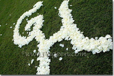 Cheap Flower Petals  Wedding on Bride  Above  Used Flower Petals To Make Their New Monogram