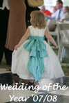 DIY 2010 Flower Girl Dress of the Year in Tiffany Blue and Ivory