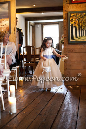 Ivory and Blue and Gold Silk ballerina tulle flower girl dresses