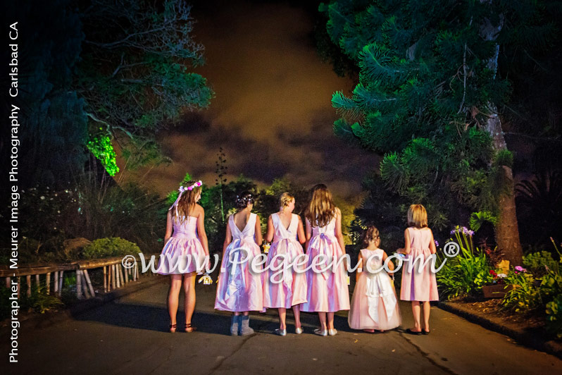 Flower Girl Dress of the Year in Shades of Pink Silk