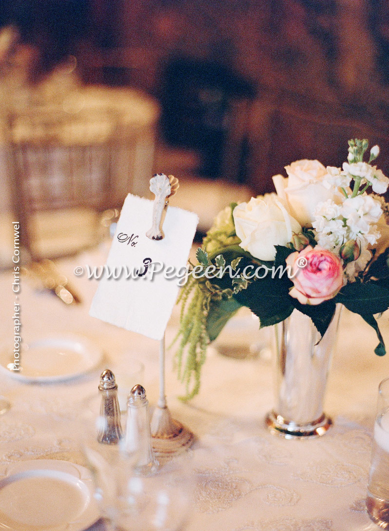 Pegeen's Platinum Wedding of the Year 2015 at Spindle Top Lexington KY